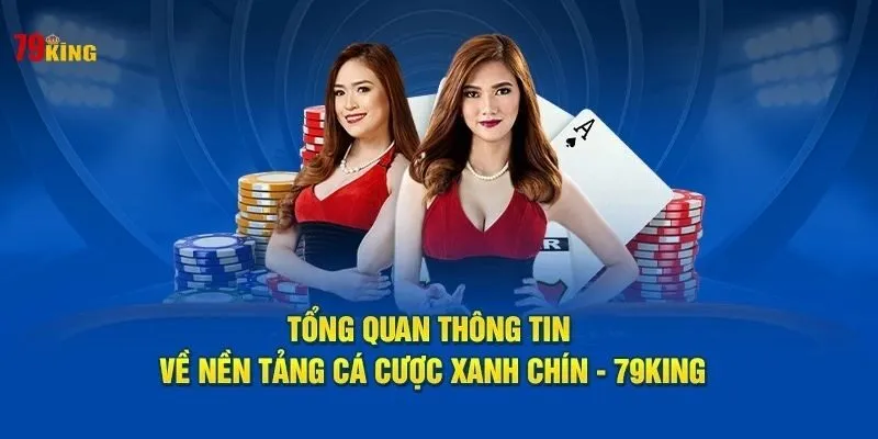 Giới Thiệu 79King 2026 | Thông Tin Thương Hiệu & Định Hướng Vận Hành 1 Giới thiệu 79King chính thức 2026